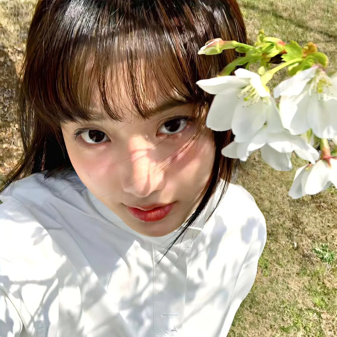 富贵如梦